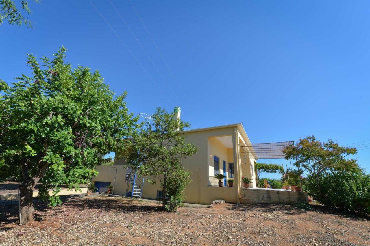 Santa Domenica Summer House Agia Kiriaki  Екстериор снимка